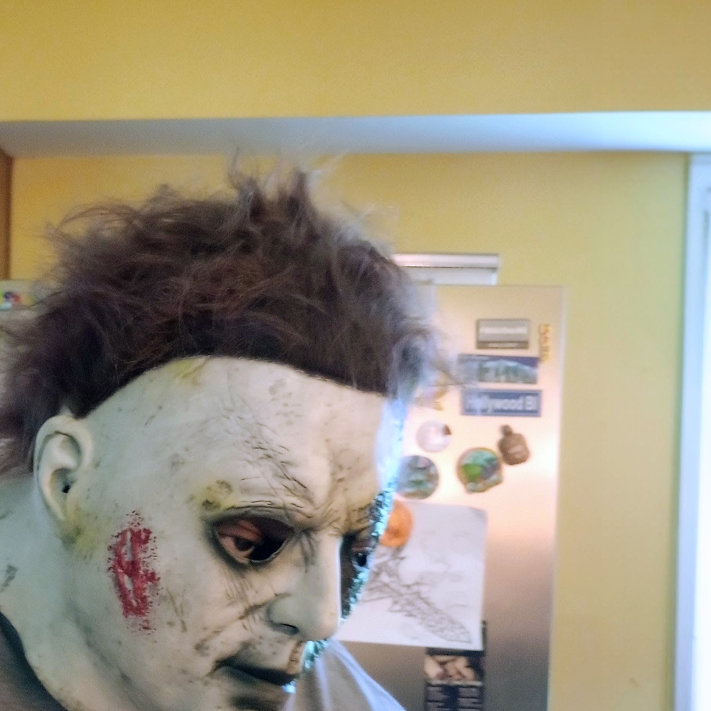 Michael Myers Halloween Mask